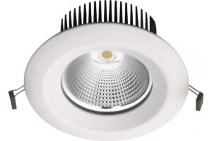 PERSEUS C Gaismeklis LED1x2300 19.9W 2183lm 3000K E956 T830 CLR D=225(205)x125 IK05 IP65 1101958 NC