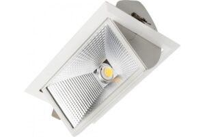 Delphinus LED Iebūv. gaismeklis 1x4550 D787 T930 R60**1101343 NC