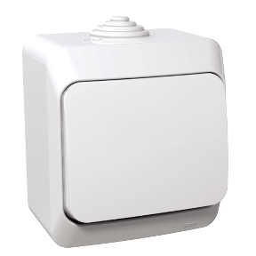 WDE000560 Slēdzis/ pārsledzis balts IP44 CEDAR2