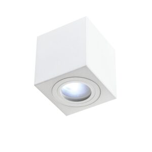 Lago Bianco Griestu gaismeklis balts 50W GU10 D90 ORLICKI